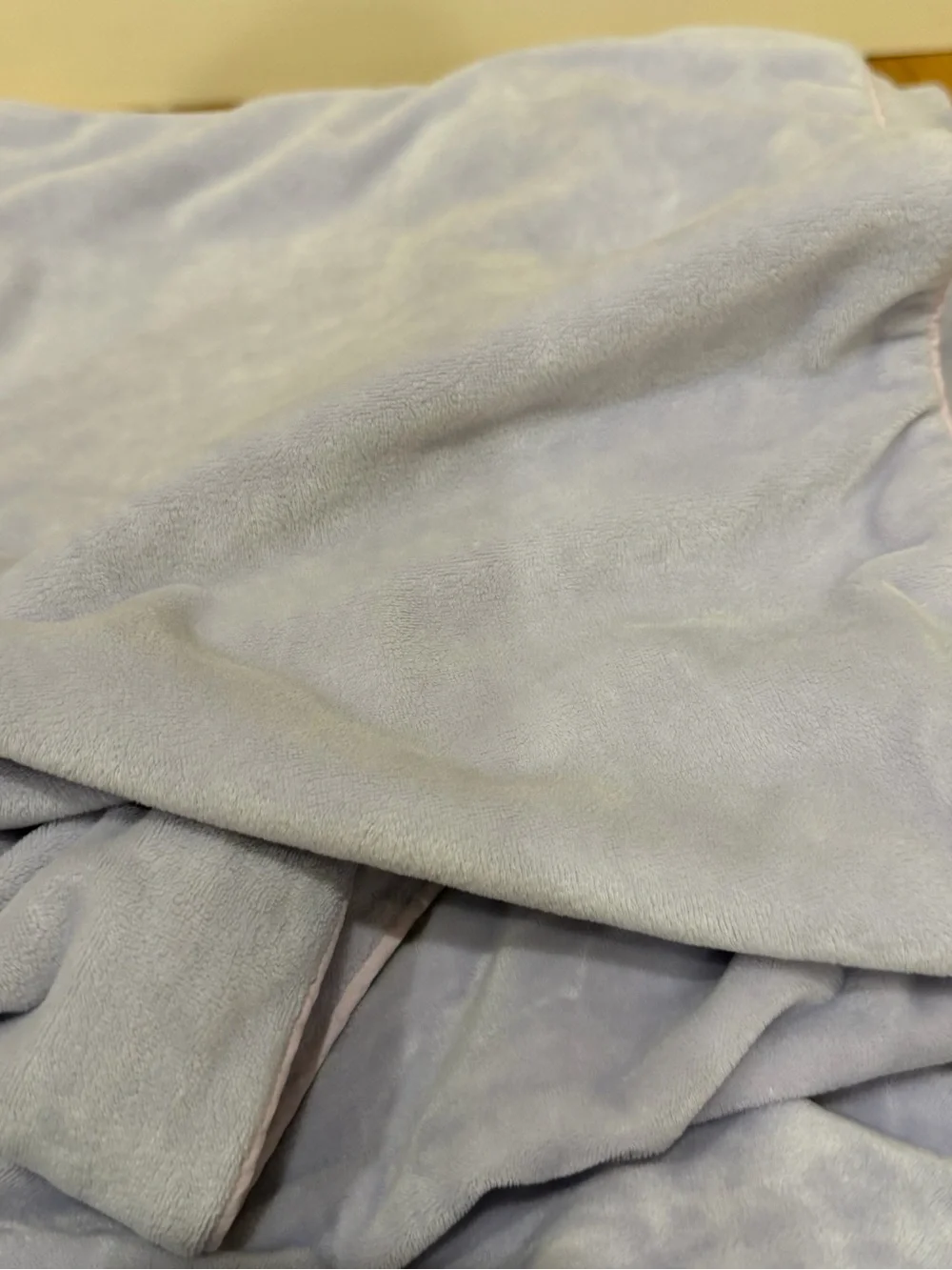 Pottery Barn Kids Luxe Chamois Duvet & Shams - Lavender